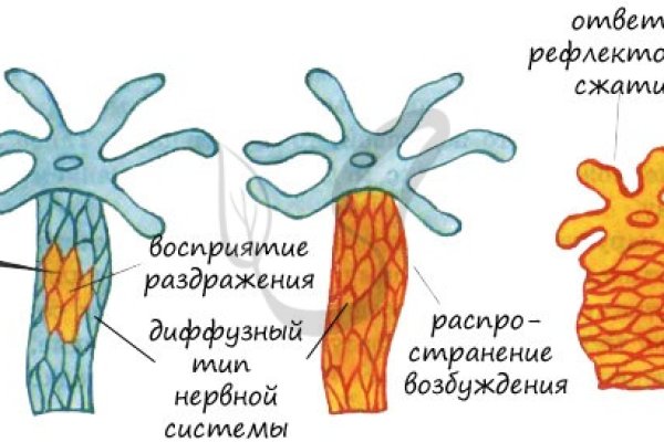 Короткая ссылка на кракен